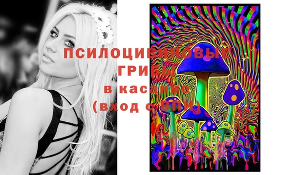 spice Алзамай